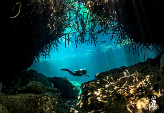 Bucenado en cenotes